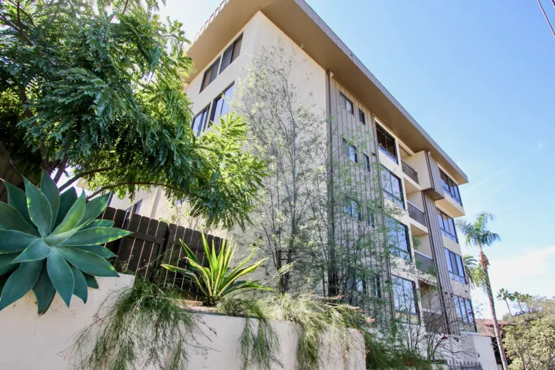 A SUNNY DAY IN THE SPRUCEWOOD APARTMENT WITH TRESS, PLANTS