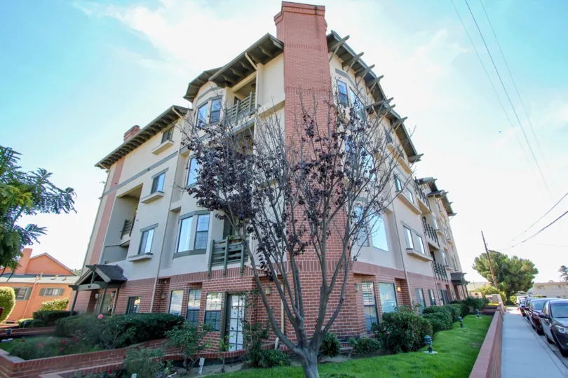 The building Sutter Canyon is very height and large in size and has covered with garden