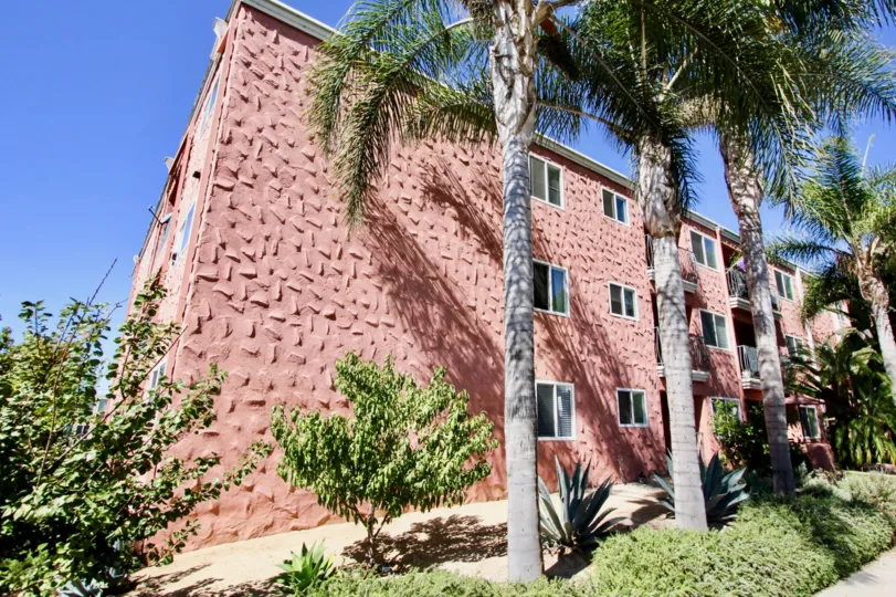 Coconut plant surrounding Terrace Village community center