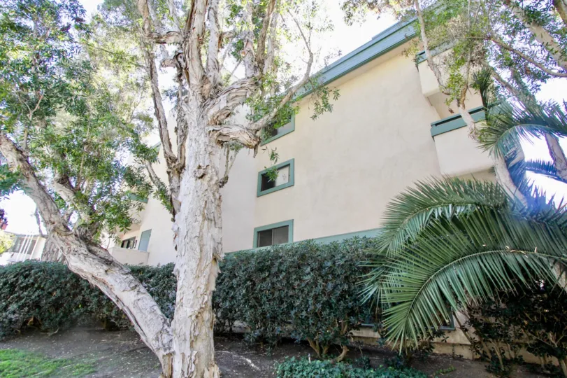 A sunny day in the area of Torrance Canyon, apartment building, tree, bushes
