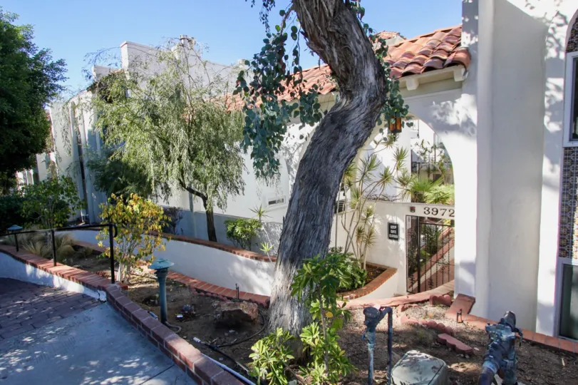 A pathway leading to a gate with some trees and bushes alongside it during a sunny day in Villa Bahia, Mission Hills, CA