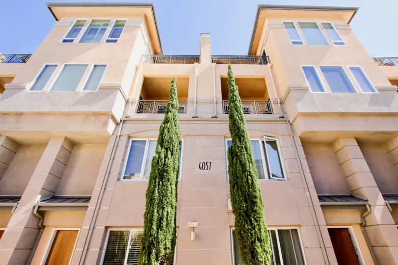 A bright day at a four-story house of Wellington Square, with two evergreen trees in front