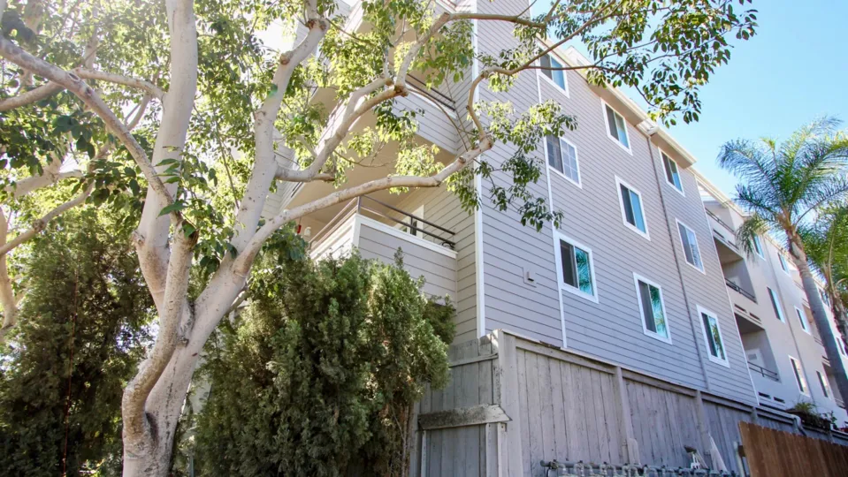 The tree-filled back view of a four story apartment complex in Windsor Place community of Mission Hills, California