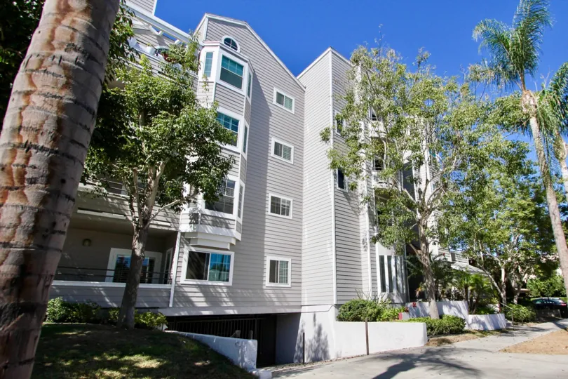 In the road of Windsor Place has many trees and places with meadows