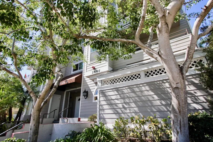 Compound wall designed with balcony and trees in Windsor Place.