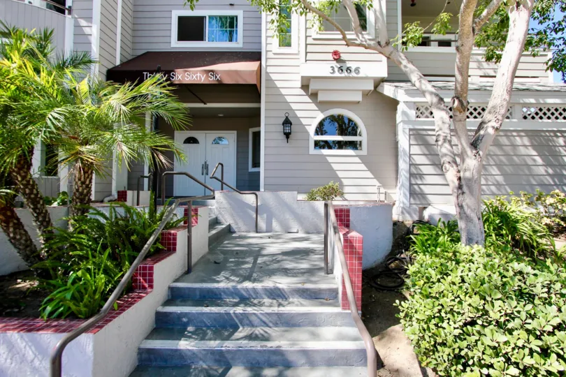 Railing provided steps with palm trees and trees in Windsor Place.