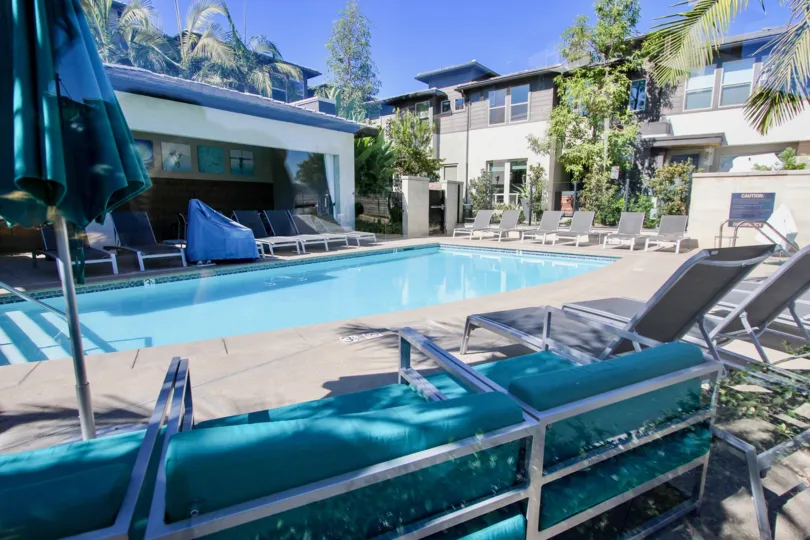 The luxury private swimming pool with deck chairs and beach umbrellas at the Frame and Focus condo complex.