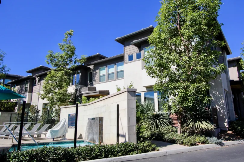 A large tree blocks a number of windows on a building at the Frame of Focus condos