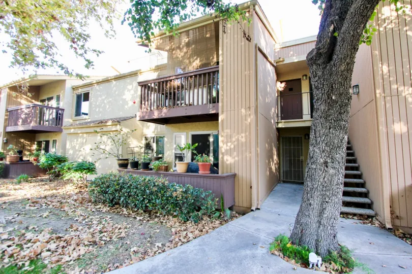 Friars Pointe  , Mission Valley ,California,trees, potted plants