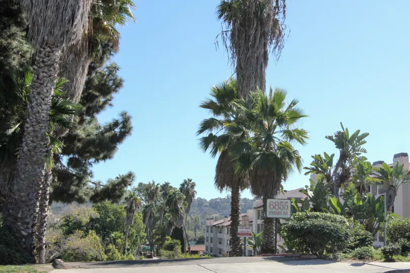 A sunny day in the area of Mission Belwood, fence, palm tree, bush