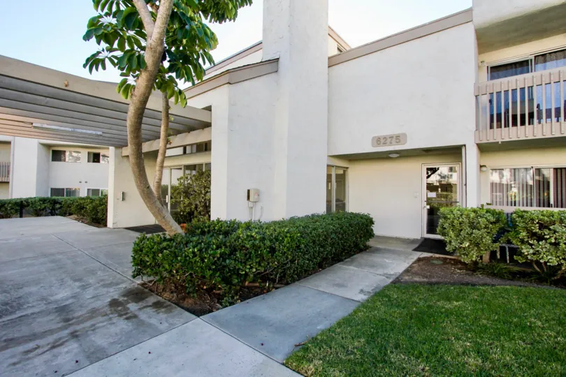 Mission Heights  ,Mission Valley, California,tree,lawn