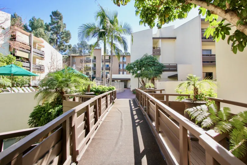 Gorgeous flora framing the bridge leading into the heart of the complex in sunny California