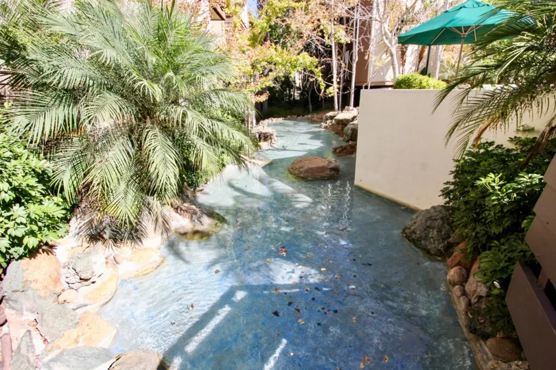 A sunny day in a backyard with a decorative river and lush vegetation.