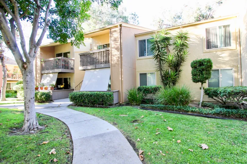 A tree in front of a building in the Rancho Mission Villas in Mission Valley, CA.