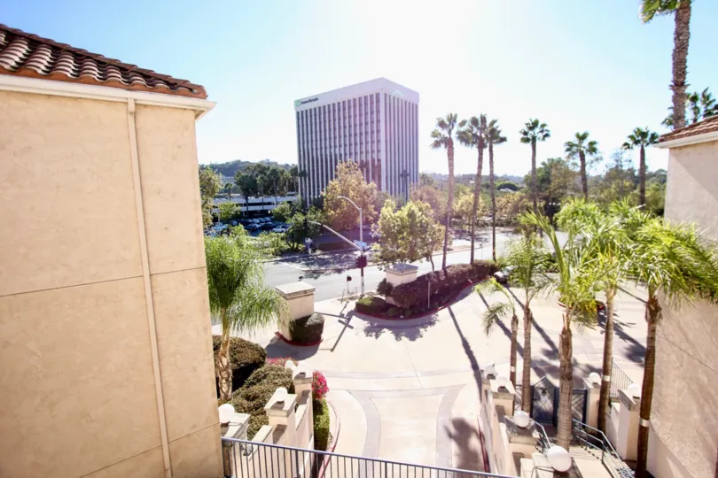 River Scene, City: Mission Valley, nice palm trees on the road, a wide road