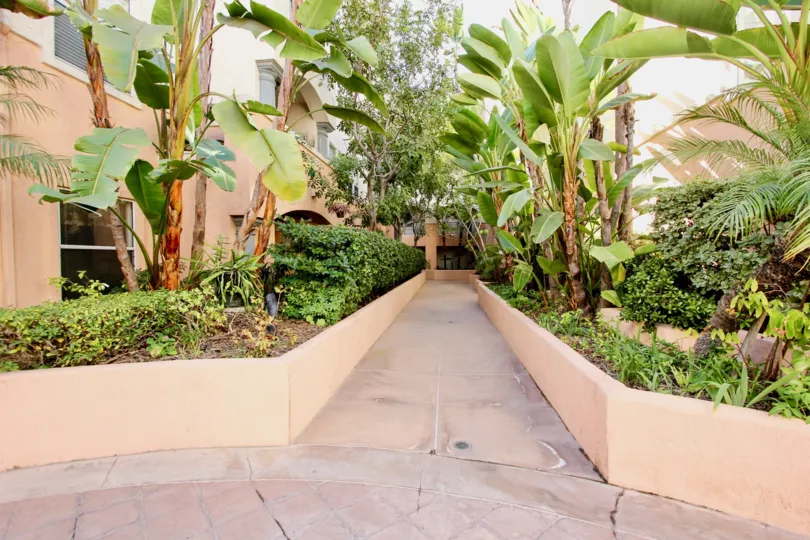 A luscious grove divided by a walkway in a residential building