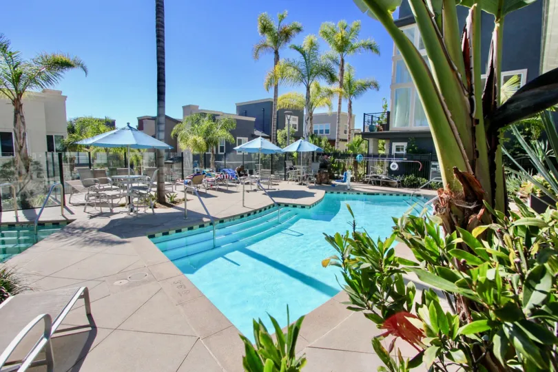 A bright and sunny day by the pool at Skyloft at Origen with lots of pool chairs and palm trees