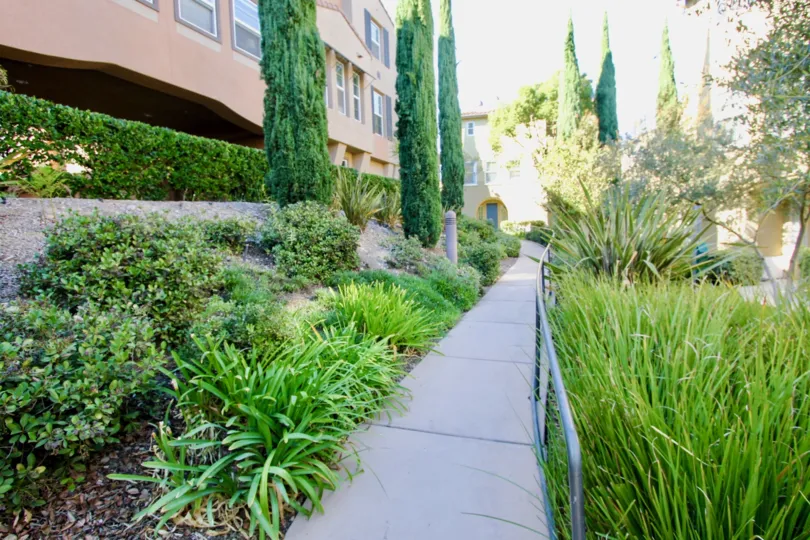 Walk way with plants on each side in Terraces at Escala Mission Valley California