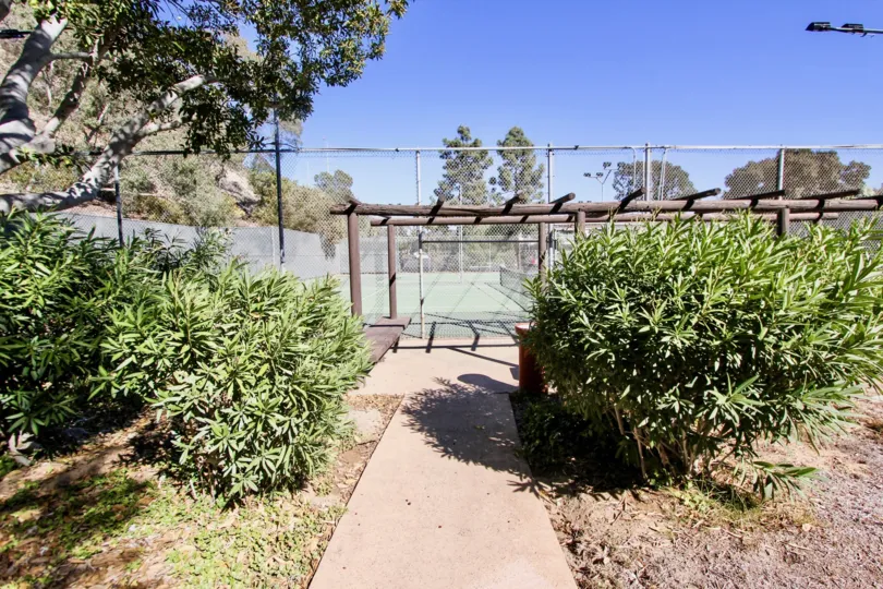 The Bluffs , Mission Valley  ,California,bushes,,pathway