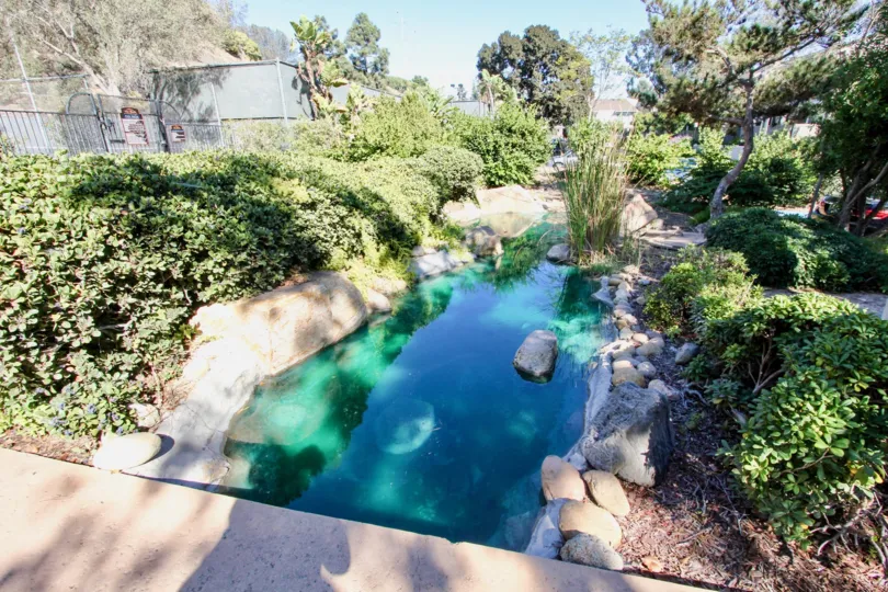 The Bluffs ,Mission Valley  , California, blue,greenery,shrubs
