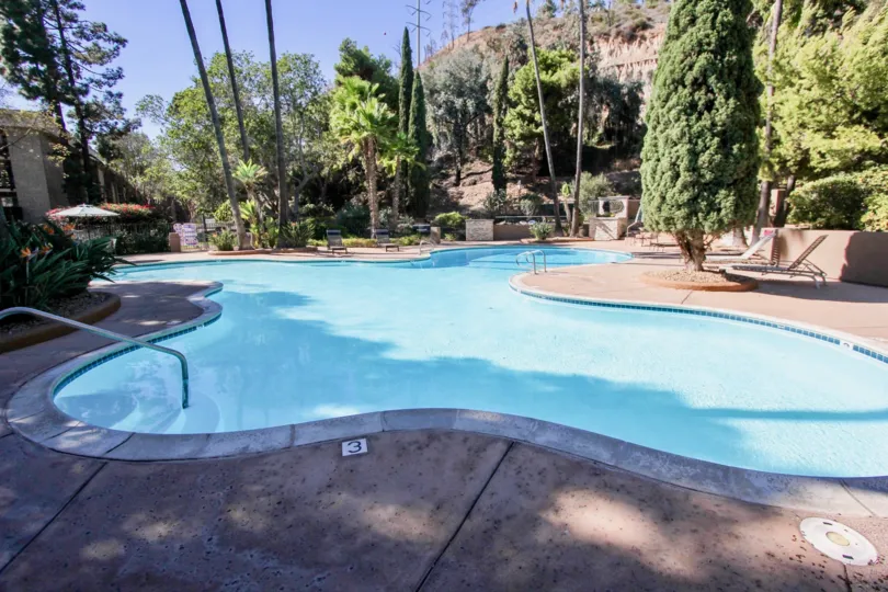 The beautiful swimming pool which has the lot of trees and chairs were situated in The Bluffs