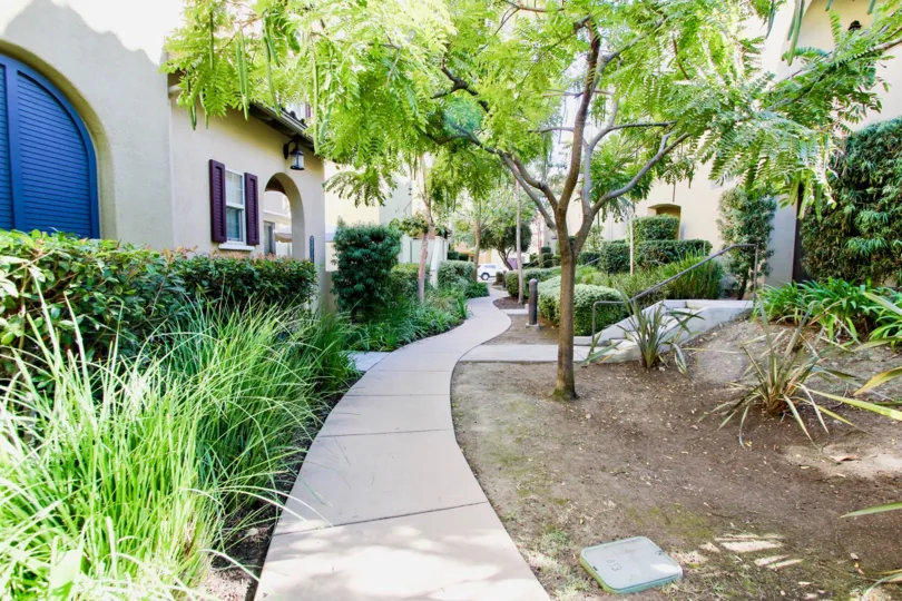Sidewalk with trees and other landscapt at Verandas at Escala Mission Valley California
