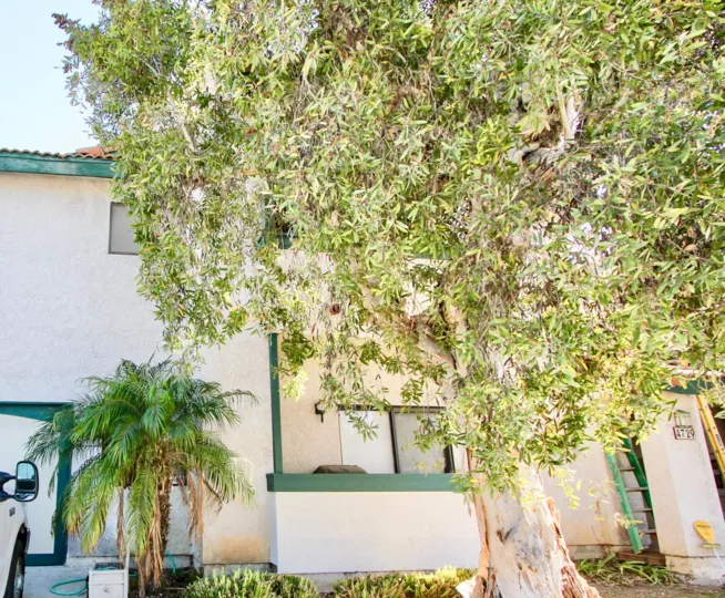 Green Heritage of 34th Street Villas, Normal Heights, California