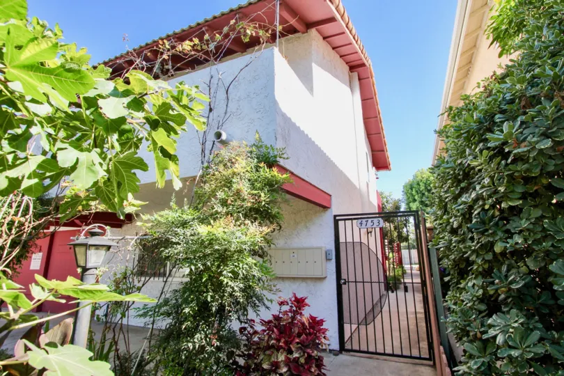 A landscaped walkway to 4753 35th Street in Normal Heights, California