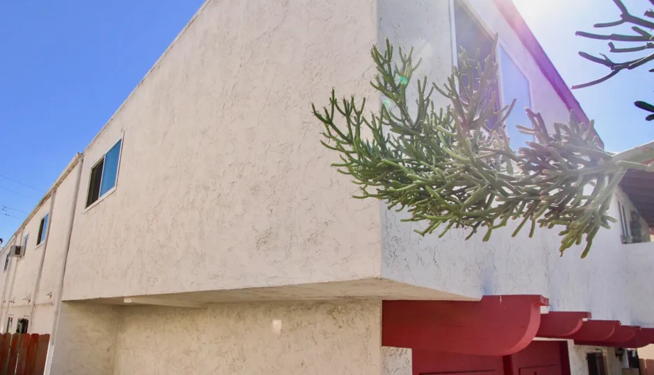 THE APARTMENT IN THE 4753 35TH ST WITH THE PLANTS, WOODEN WALL, WINDOW