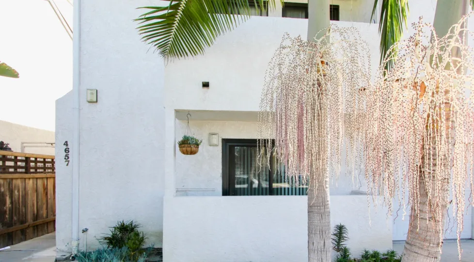 A sunny day in the area of A2I Condominiums, palm trees, sliding glass doors, hanging plant, wooden fence, condos