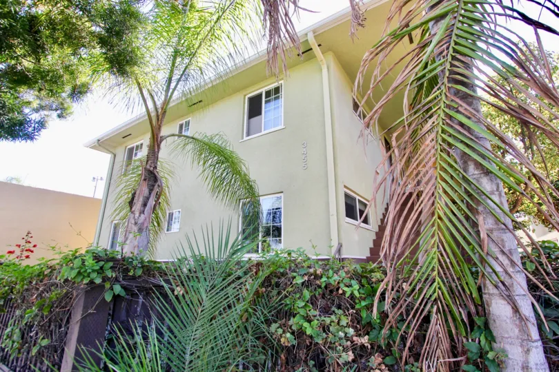 The corner view of a green house in Normal Heights, with trees outside.
