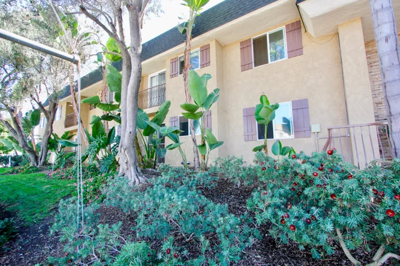 A beautifully landscaped Adela in Normal Heights, California.