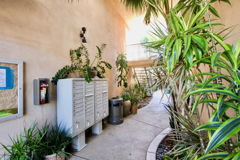 California apartment building with postal boxes, interior road and lots of plants