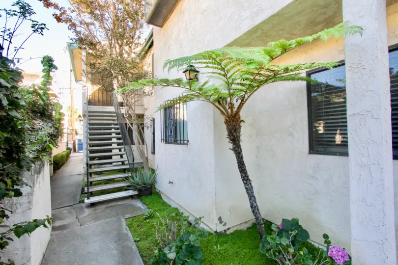 THE BUILDING IN THE HAMILTON STREET CONDOS WITH THE UPSTAIRS, GRASS, TREE, PLANTS