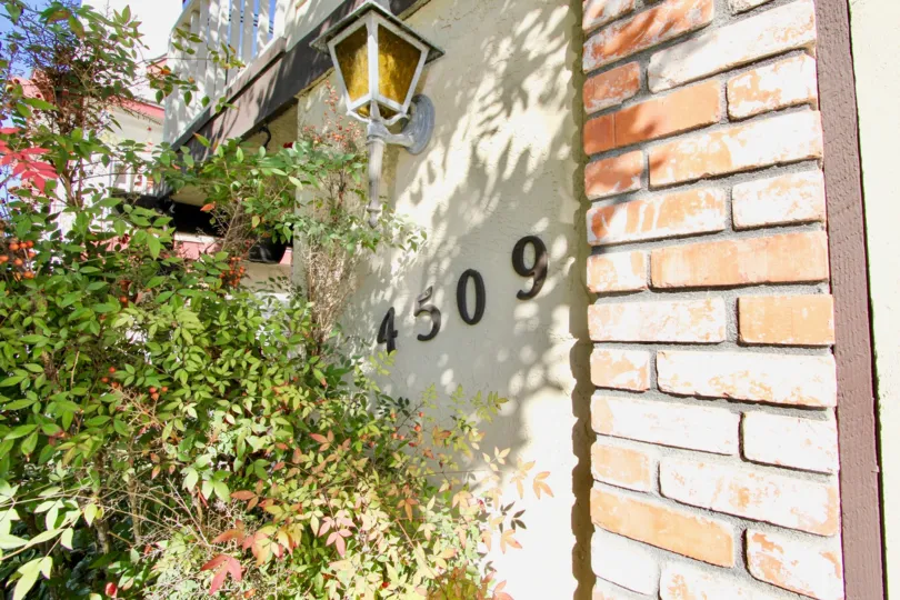 Side to the gate of villa in Hermitage II has light lamp and bushes with 4509 number