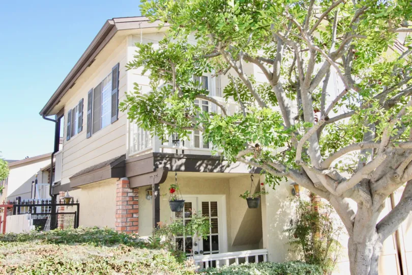Side view of apartment with patio and tree at The Hermitage II in Normal Heights, Ca.