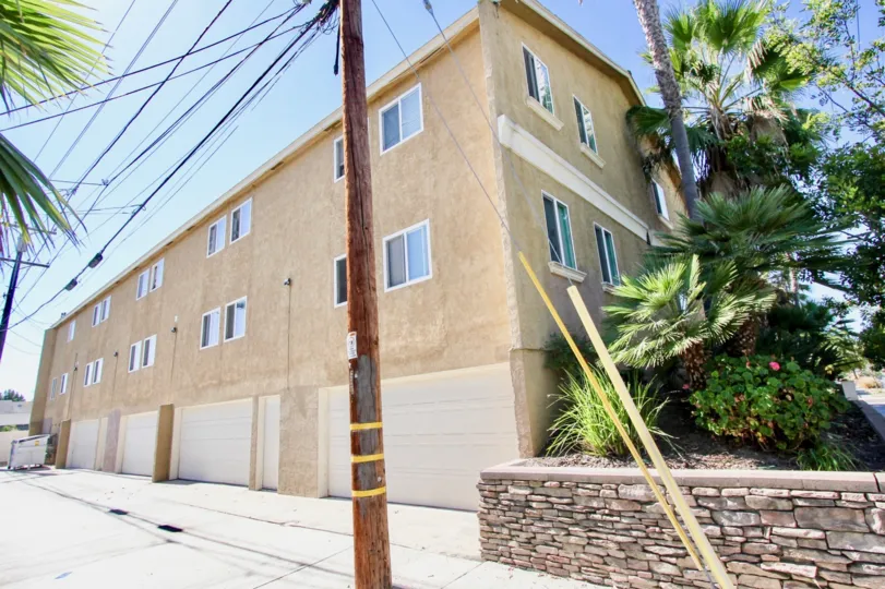 A green-plant in the Monroe Villas II reminds me off the desert-type vegetation.