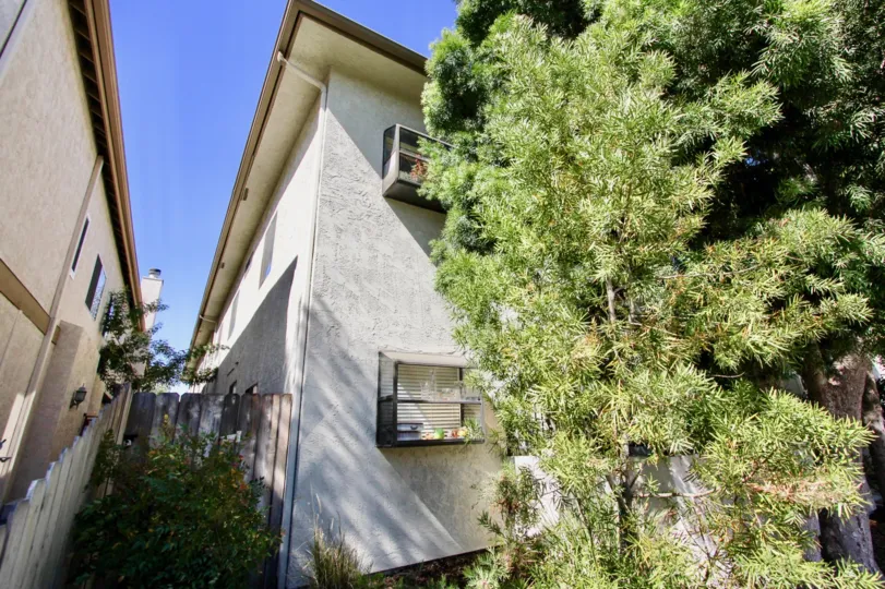Backyard of a Normal Heights Villa Apartment with a mature tree
