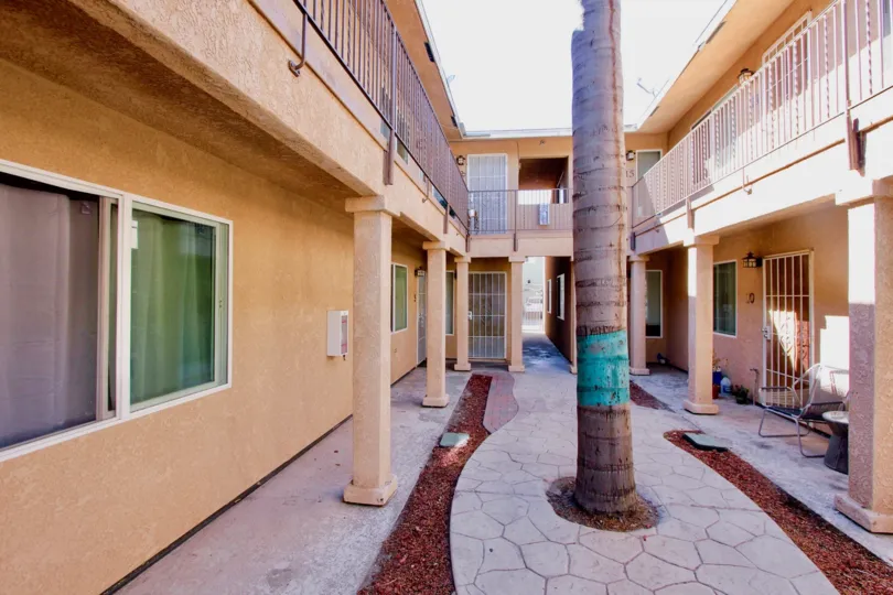 Beautiful Palm tree in open area between villas in Palm Terrace of Normal Heights city