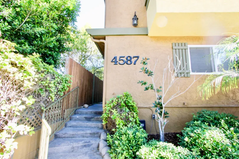 Walkway with steps to apartment at Park Place with landscaping in Normal Heights, Ca.