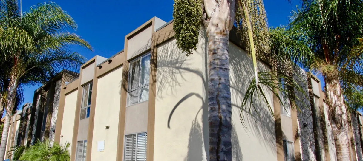 Beautiful tall tree planted outside of a caramel colored building