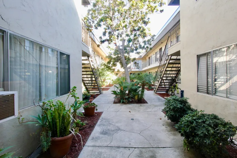 In between two buildings in California, the courtyard and plants can be seen in the garden.