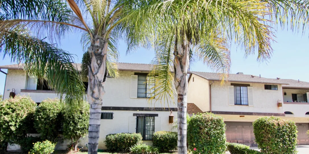 Two palm trees outside the rear of Tiffany Square in Normal Heights, California