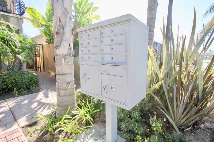 A sunny day in the area of Villa Bonita, outside, palm trees, sidewalk, mailboxes, gate