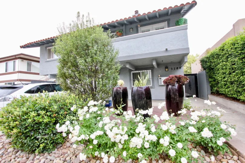 Blossom flower pots and plant with white flowers are in front of the 3788 Grim Ave