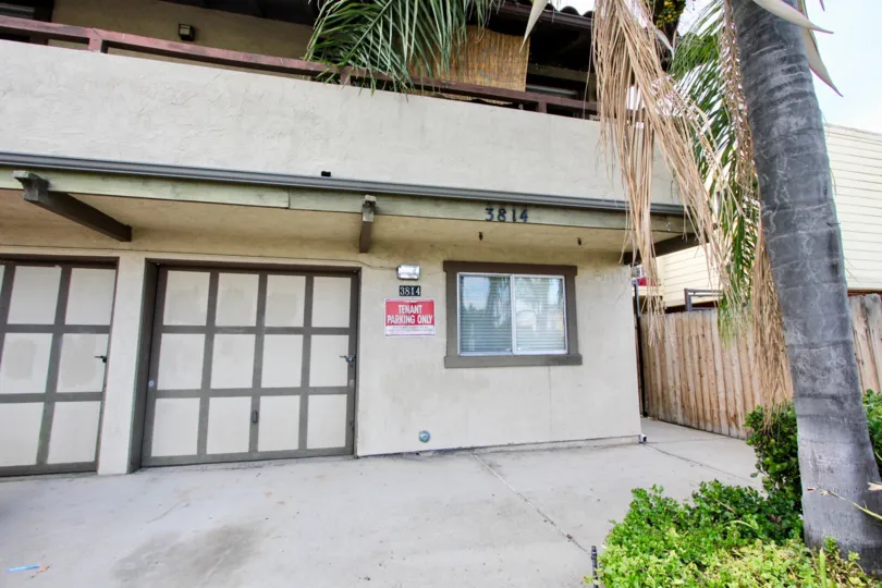 3814 35th St . North Park ,California,coconut tree,white building