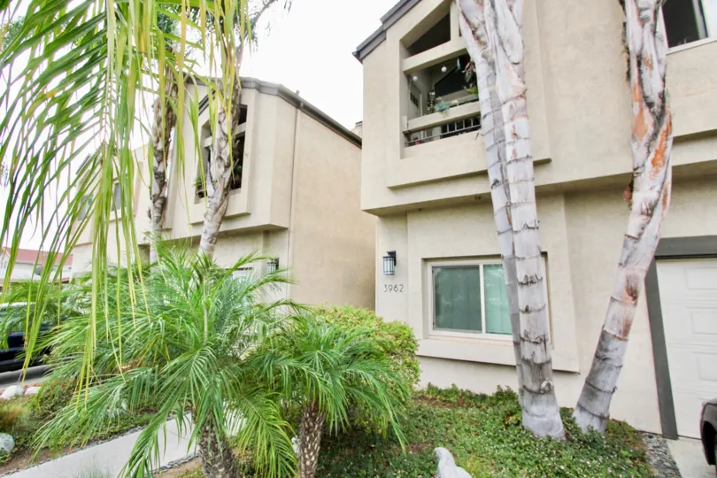 Community 3814 35th St. North Park California gate palm tree garage windows balcony tile roof fence