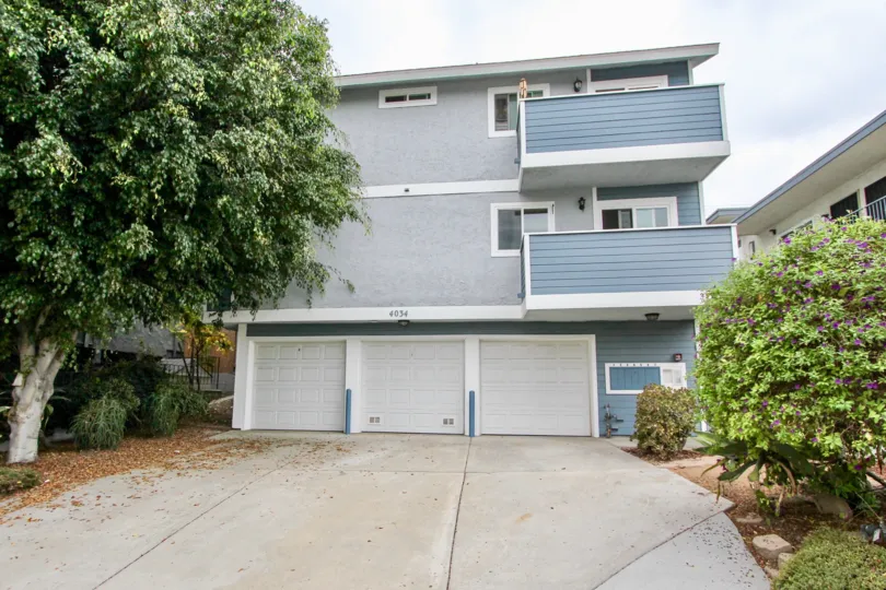 4034 Florida St , North Park , California,grey building,tree