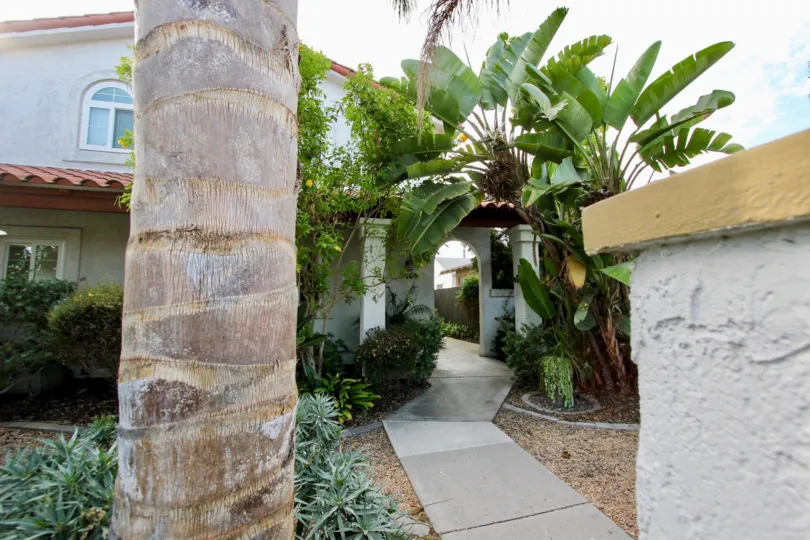 Big Palms covering breezeway at this lovely home in North Park, California.