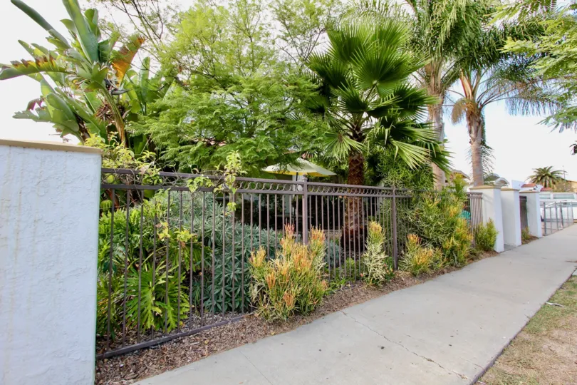Lush trees and bushes sit behind an iron fence at 4166 Wilson Ave.